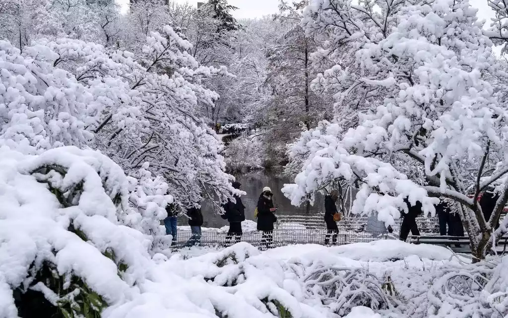 米国では猛烈な吹雪により数千便の航空便が欠航となった。