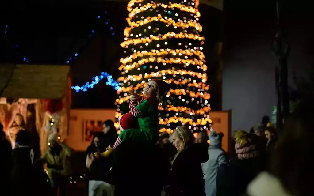 トルコ、クリスマスと新年の攻撃計画を阻止。