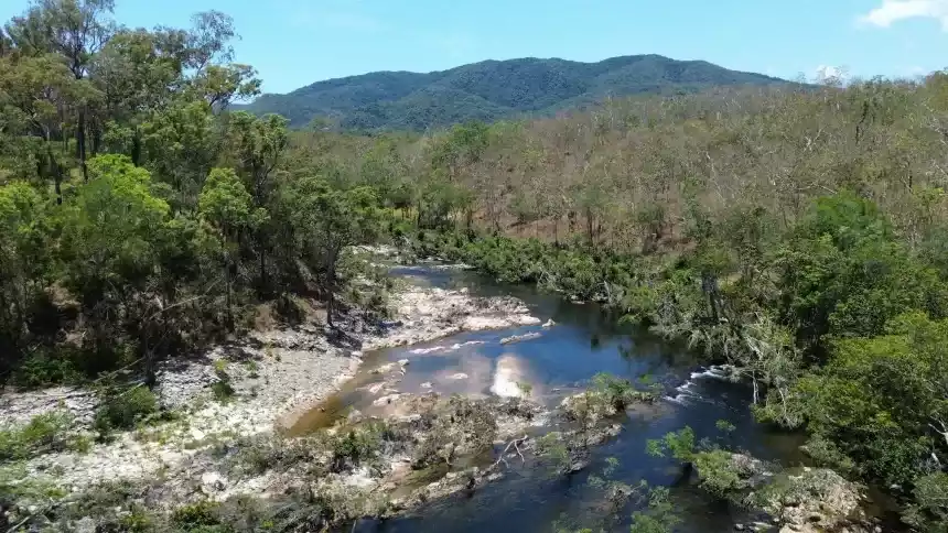 Lo&agrave;i c&aacute; cổ đại nhỏ b&eacute; chỉ sống giữa 2 th&aacute;c nước đang bị đe dọa tuyệt chủng - Ảnh 1.