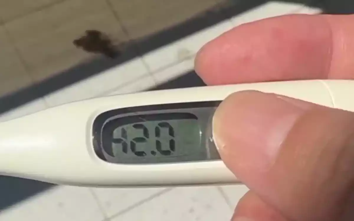 新年早々、熱波が南米を襲う。