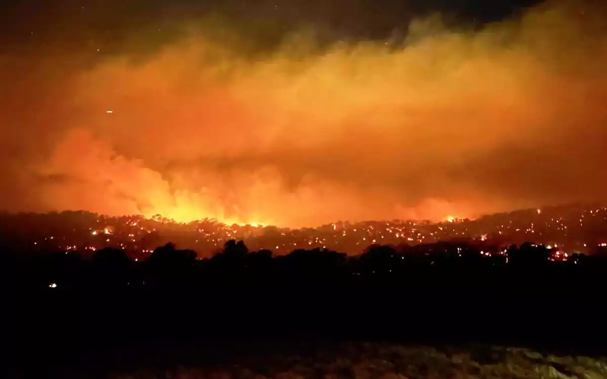 オーストラリアは山火事により災害状態を宣言した。