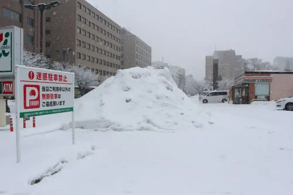 Tuyết rơi d&agrave;y tại Nhật Bản l&agrave;m 4 người thiệt mạng- Ảnh 1.