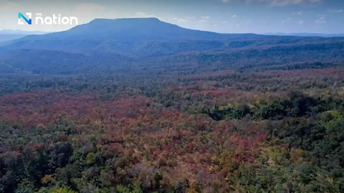 Hiện tượng &ldquo;rừng đổi m&agrave;u&rdquo; kỳ ảo tại Th&aacute;i Lan- Ảnh 1.