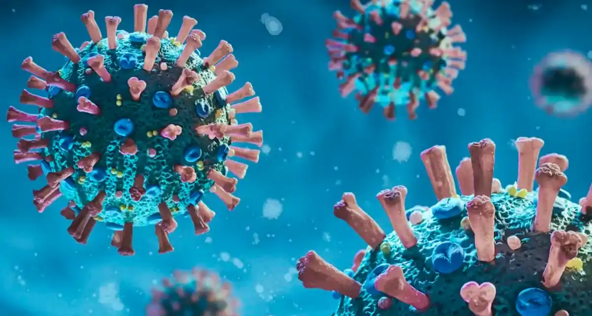 新型コロナウイルス変異株BA.3.2が米国で急速に拡大している - 画像1。 Biến thể COVID-19 BA.3.2 lây lan nhanh tại Mỹ- Ảnh 1.